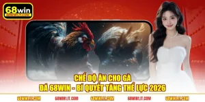 Chế Độ Ăn Cho Gà Đá 68WIN - Bí Quyết Tăng Thể Lực 2026